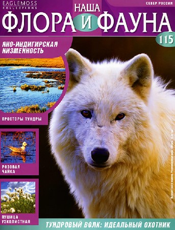 ���� ����� � ����� � 115 2015