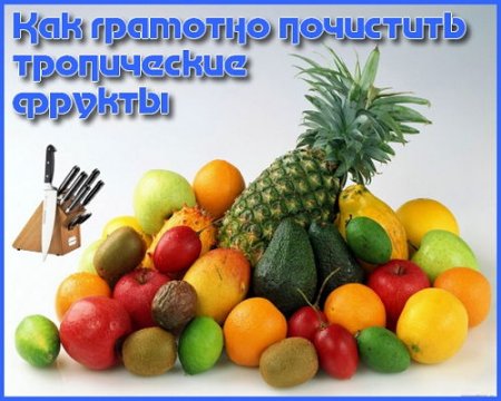  ��� �������� ��������� ����������� ������ (2015)