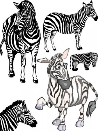 ����� (�������� � �������)