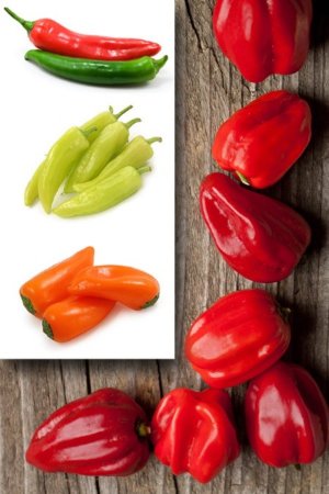 �����: ���������� � ������