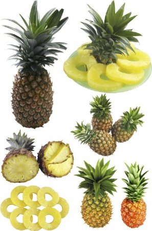 ������ � ������ ������� (���������� ���)