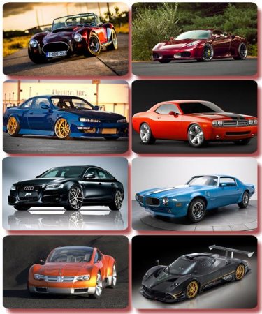 ���� ���� - �������� � ���� ����������� (����� 52)