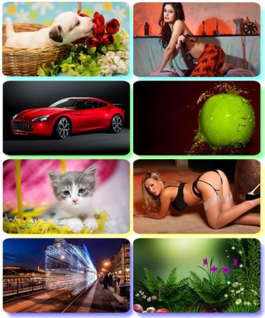 ��������� HQ ����� � ��������� ���������� ����� 93