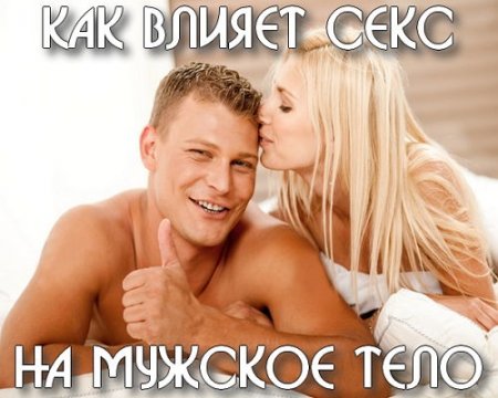  ��� ������ ���� �� ������� ���� (2015)