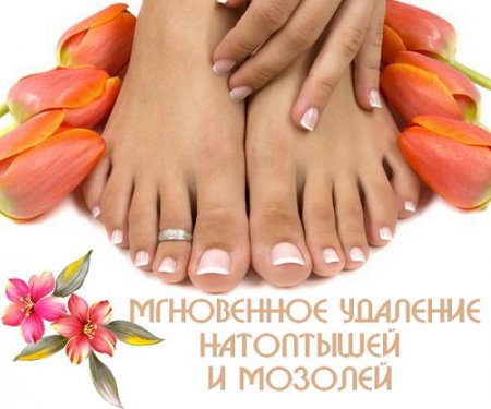  ���������� �������� ���������� � ������� (2015) 