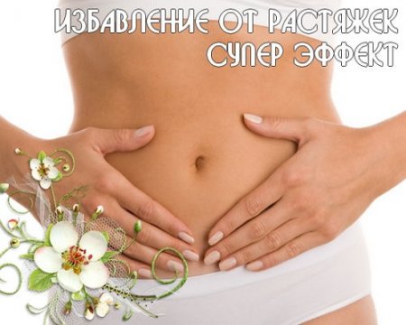  ���������� �� �������� - ����� ������ (2015) 