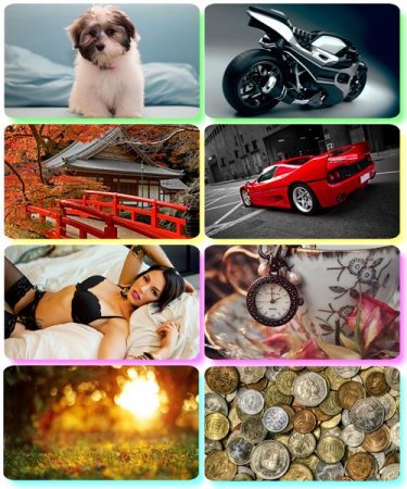 Mix ��������� �������� - ���� ��� �������� ����� (����� 96)