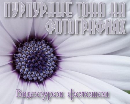  ��������� ���� �� ����������� � ������� (2015) 