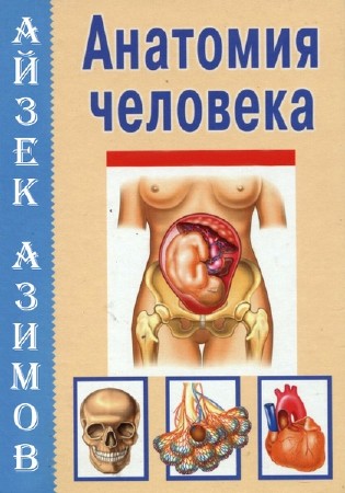 ������ ����� - ���������� ��������. �������� � ������� ������������� ���� (����������)