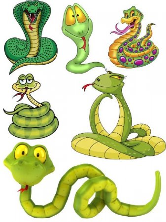 ���������� ���� �� ���������� ����