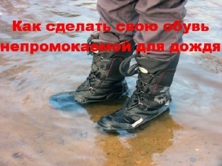 ��� ������� ���� ����� ������������� ��� ����� (2015)