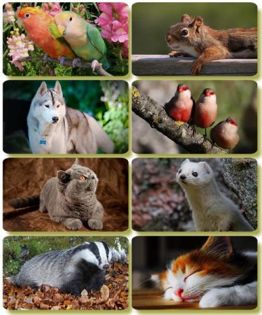 �������� �������� - ��������� ���� ����� (����� 63)