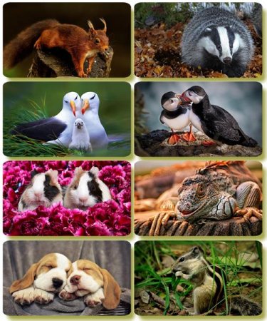 �������� �������� - ��������� ���� ����� (����� 64)