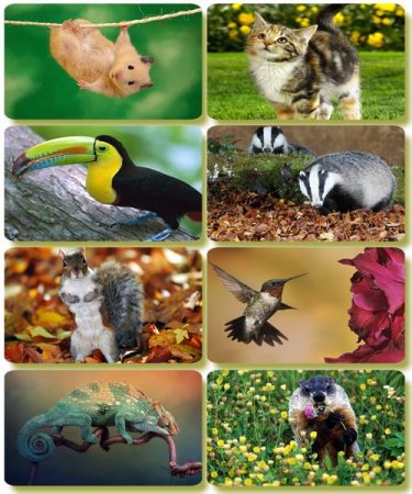 �������� �������� - ��������� ���� ����� (����� 65)