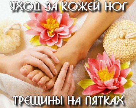  ���� �� ����� ���. ������� �� ������ (2015) 