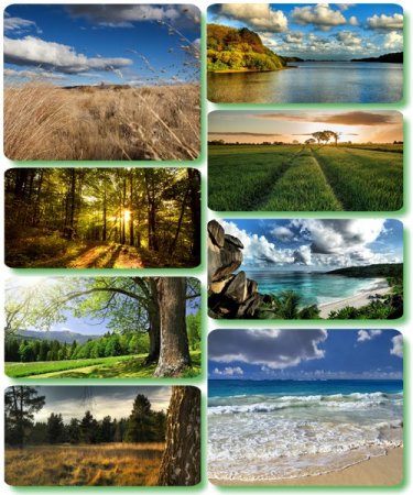 ���������� ������� - ���� � ���� ������� (������ 138)