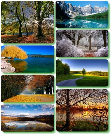 ���������� ������� - ���� � ���� ������� (������ 140)