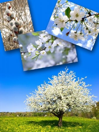 ������� � ����� - �������� �������� (��������)