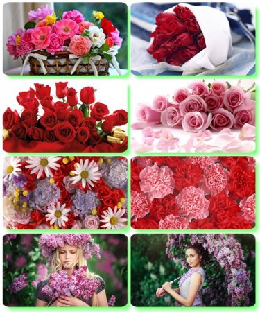 ��������� ���� - ������� ���� ������ (����� 15)