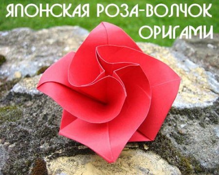  �������� ����-������ (2015) 