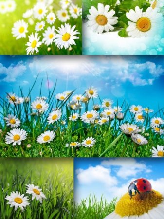 ������� �����: ������� (������� �������� �����������)