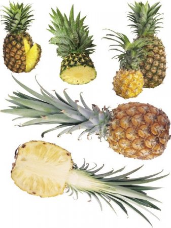 ������ � ������ ������� (���������� ���) ������ �����