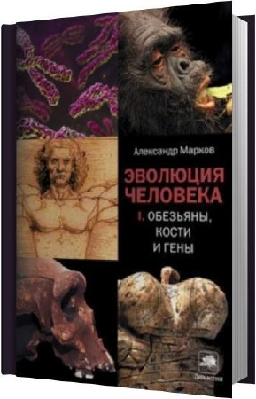 ������ ��������� - ��������, ����� � ���� (����������)