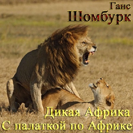 ������� ���� - ����� ������. � �������� �� ������ (����������)