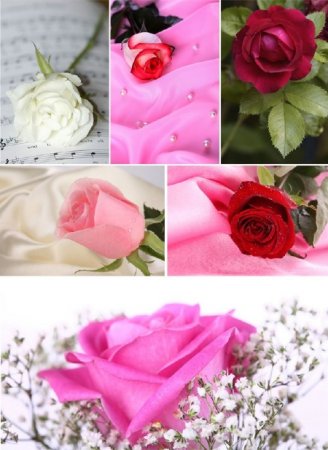 ����� ���� (��������)