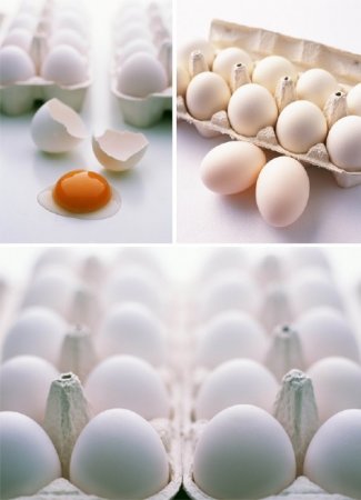 ���� � ������ (�������� ��������)