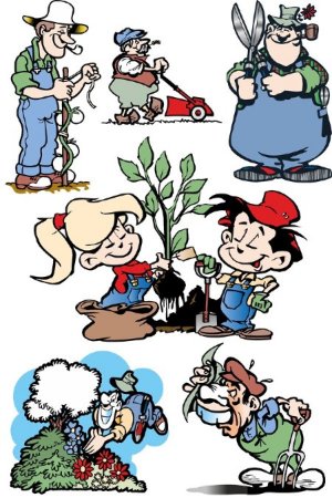 �����������, ��������, ������������ ������� (������)