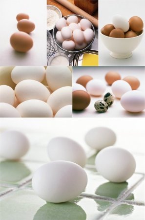 ���� (�������� �����������)