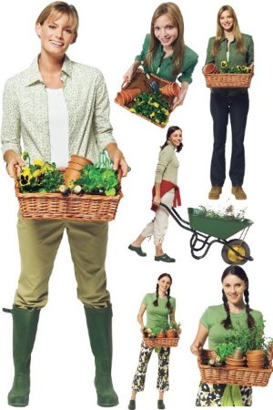 ������� - �������� (���������� ���)