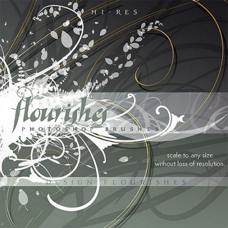  Rons Daviney - Flourishes photoshop brushes design